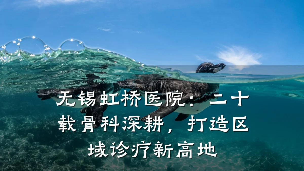 无锡虹桥医院:二十载骨科深耕,打造区域诊疗新高地