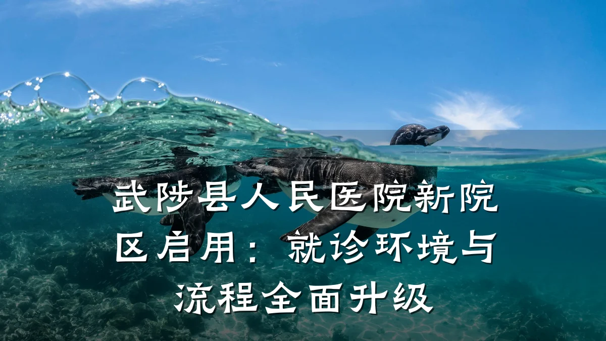 武陟县人民医院新院区启用:就诊环境与流程全面升级