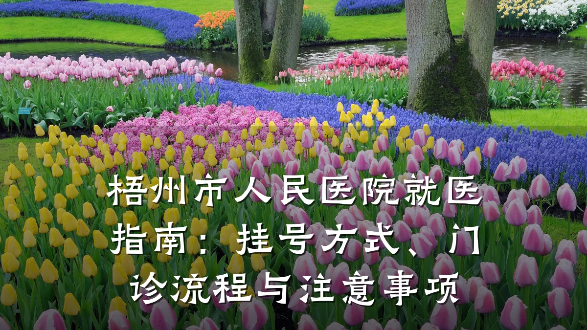 梧州市人民医院就医指南:挂号方式、门诊流程与注意事项