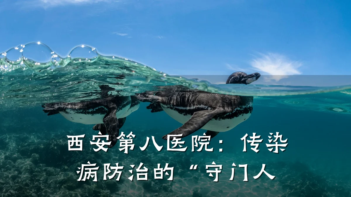 西安第八医院:传染病防治的“守门人