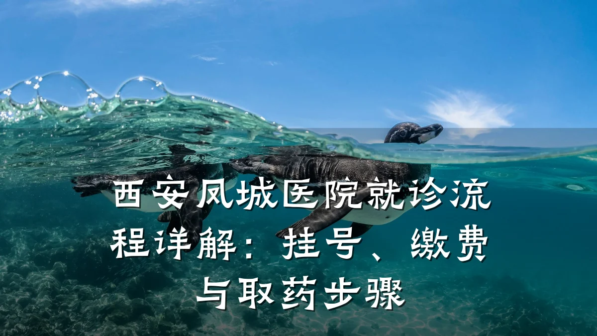 西安凤城医院就诊流程详解:挂号、缴费与取药步骤