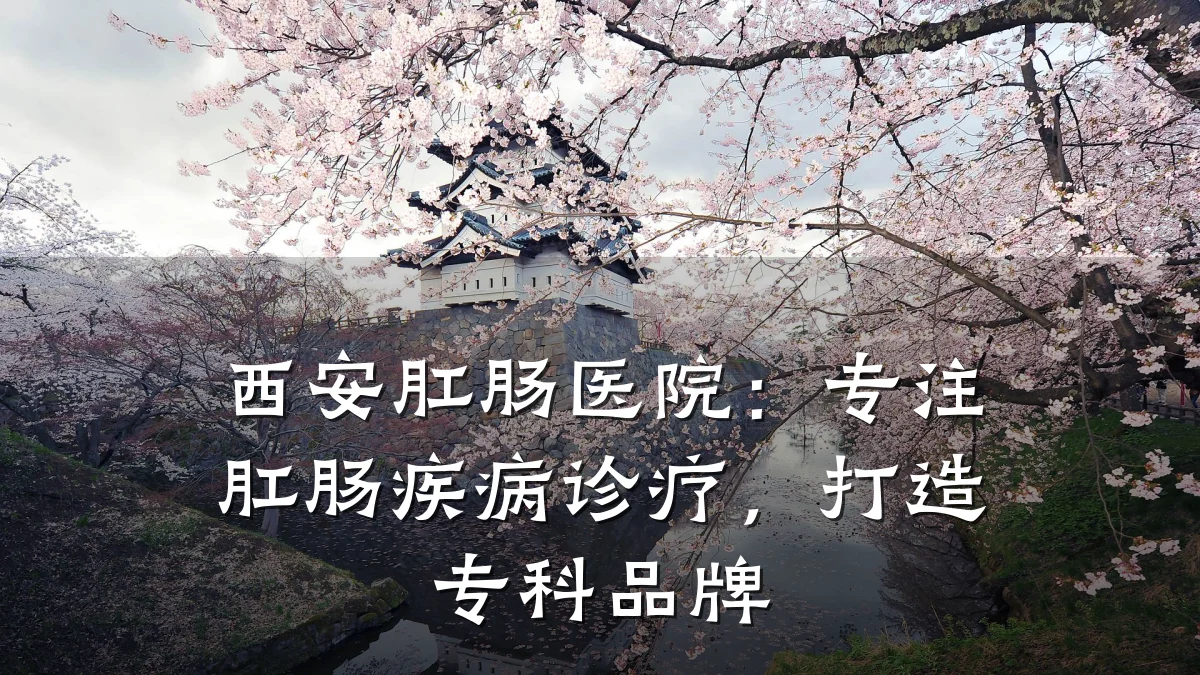 西安肛肠医院:专注肛肠疾病诊疗,打造专科品牌