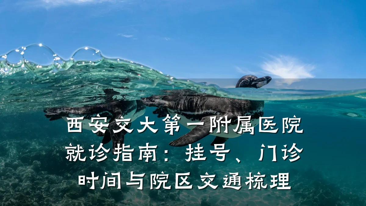 西安交大第一附属医院就诊指南:挂号、门诊时间与院区交通梳理
