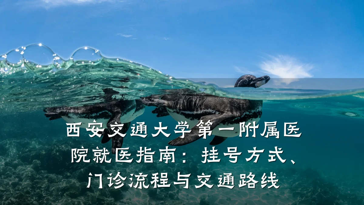 西安交通大学第一附属医院就医指南:挂号方式、门诊流程与交通路线