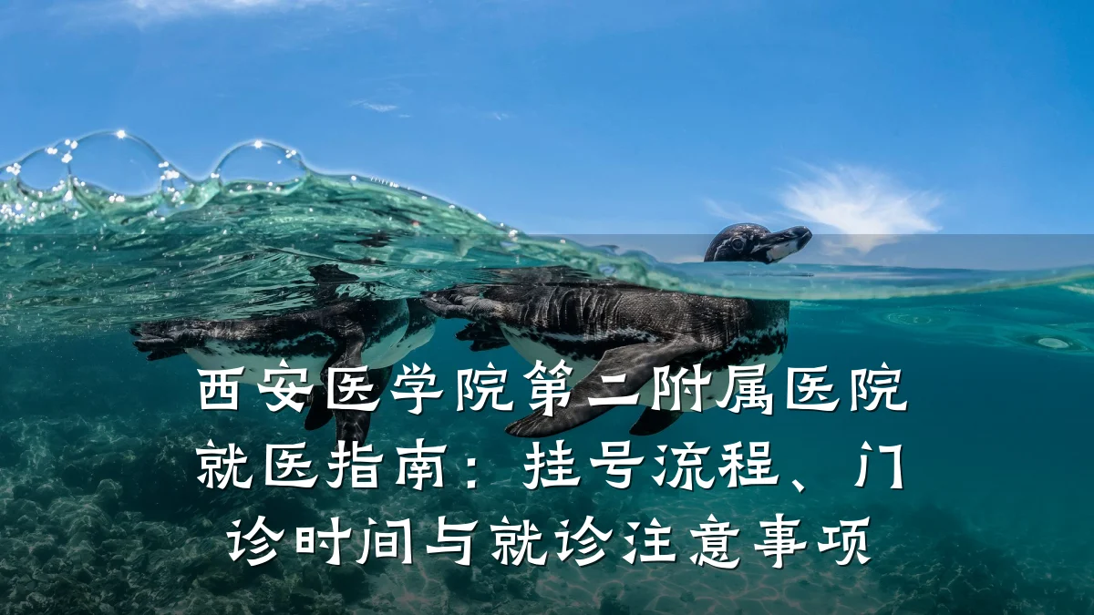 西安医学院第二附属医院就医指南:挂号流程、门诊时间与就诊注意事项
