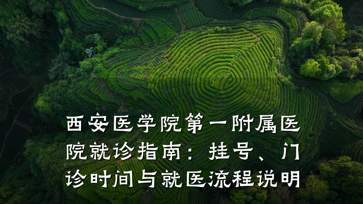 西安医学院第一附属医院就诊指南:挂号、门诊时间与就医流程说明