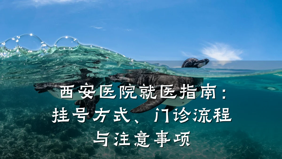 西安医院就医指南:挂号方式、门诊流程与注意事项