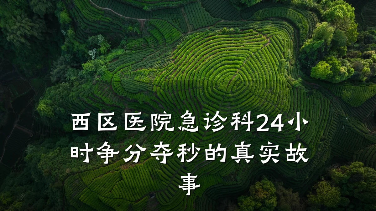 西区医院急诊科24小时争分夺秒的真实故事