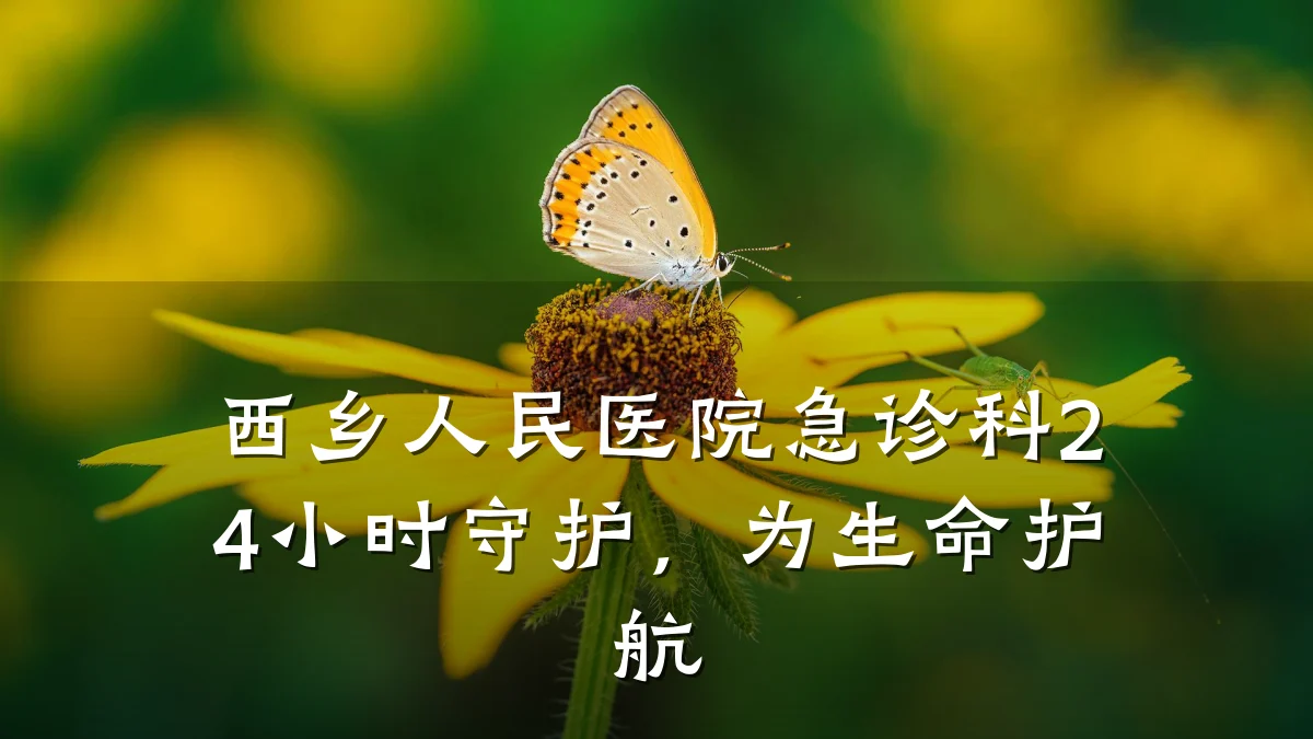西乡人民医院急诊科24小时守护,为生命护航