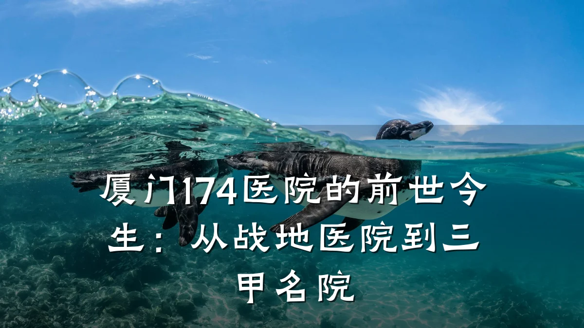 厦门174医院的前世今生:从战地医院到三甲名院