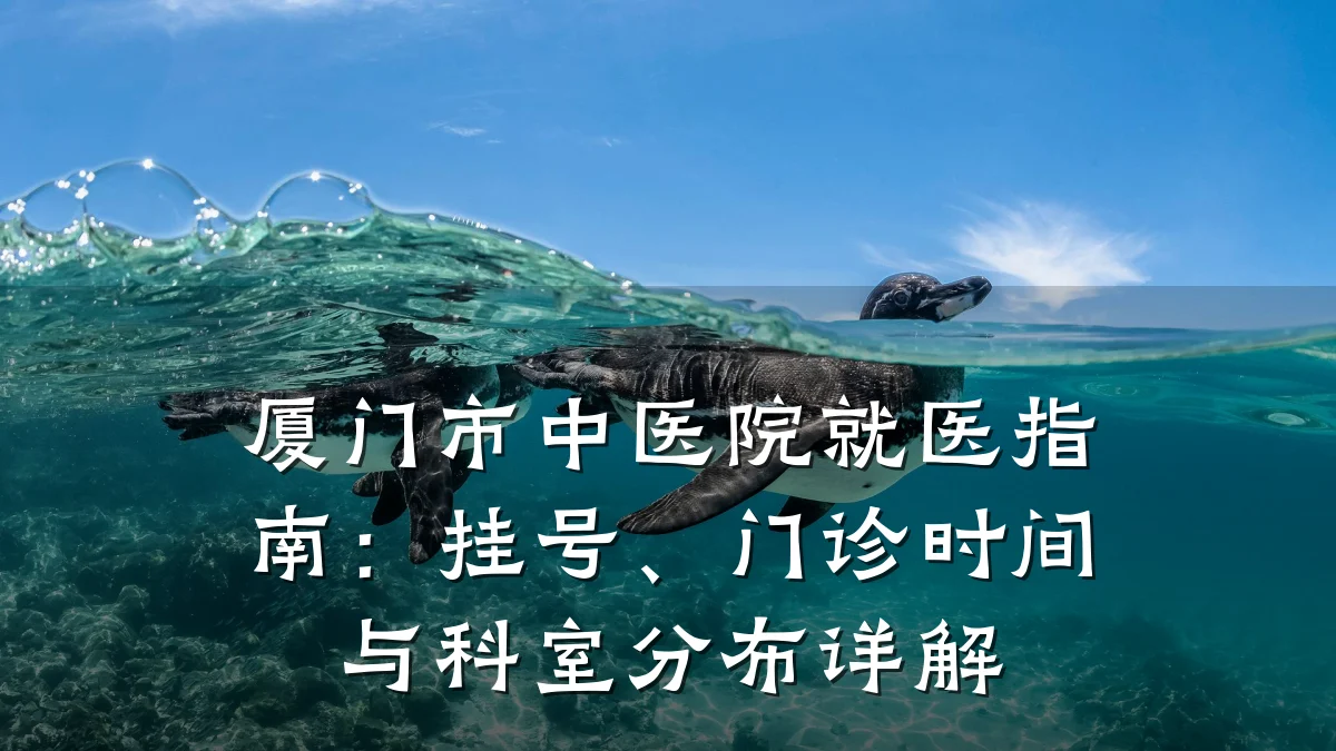 厦门市中医院就医指南:挂号、门诊时间与科室分布详解