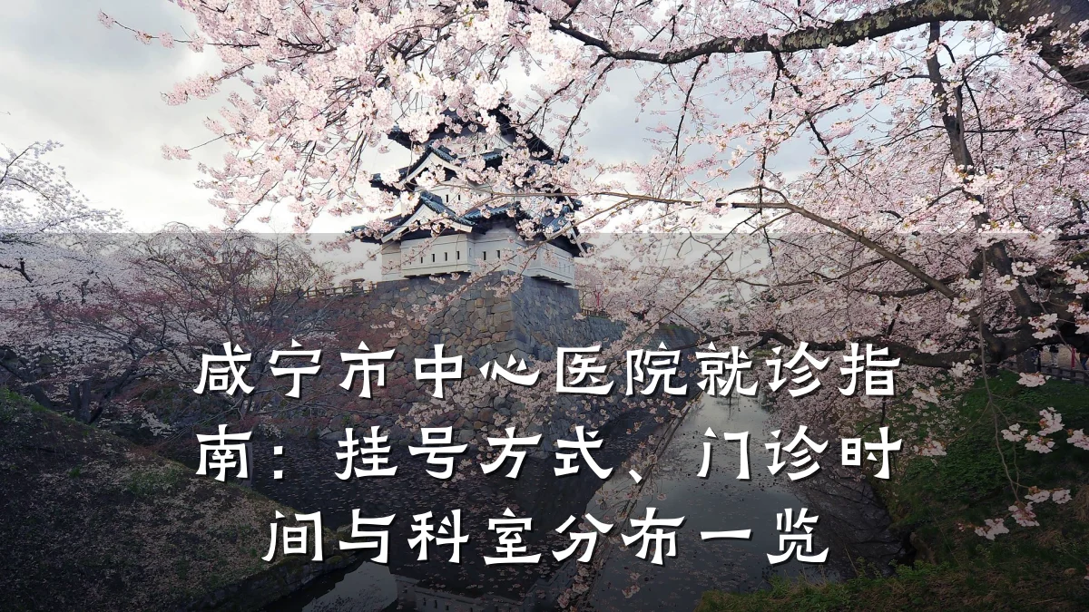 咸宁市中心医院就诊指南:挂号方式、门诊时间与科室分布一览