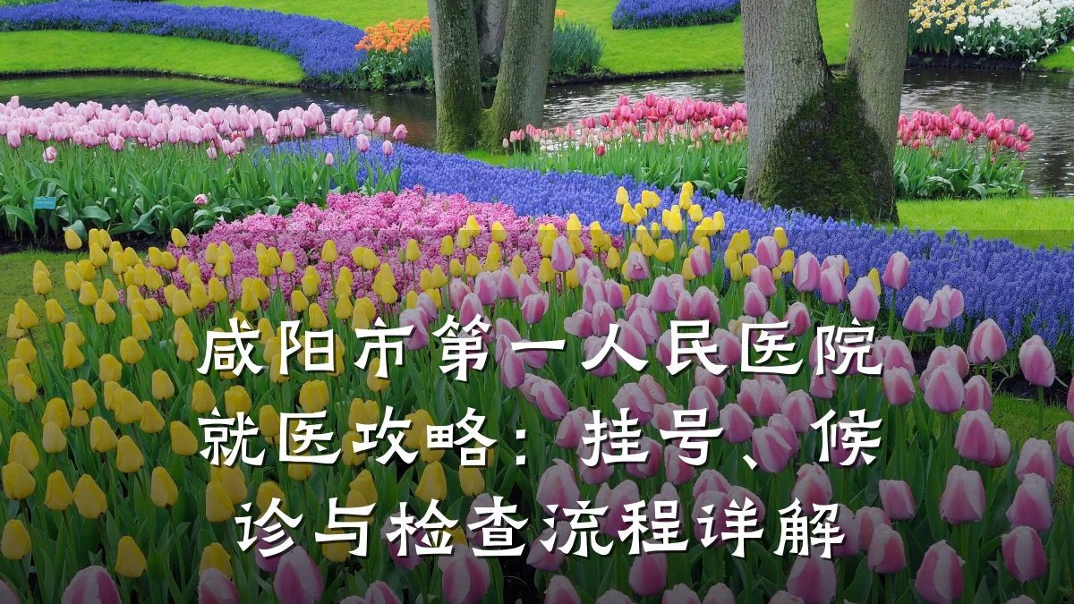 咸阳市第一人民医院就医攻略:挂号、候诊与检查流程详解