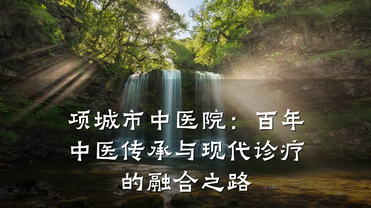 项城市中医院:百年中医传承与现代诊疗的融合之路