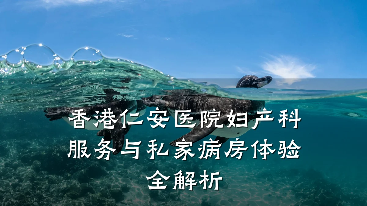 香港仁安医院妇产科服务与私家病房体验全解析
