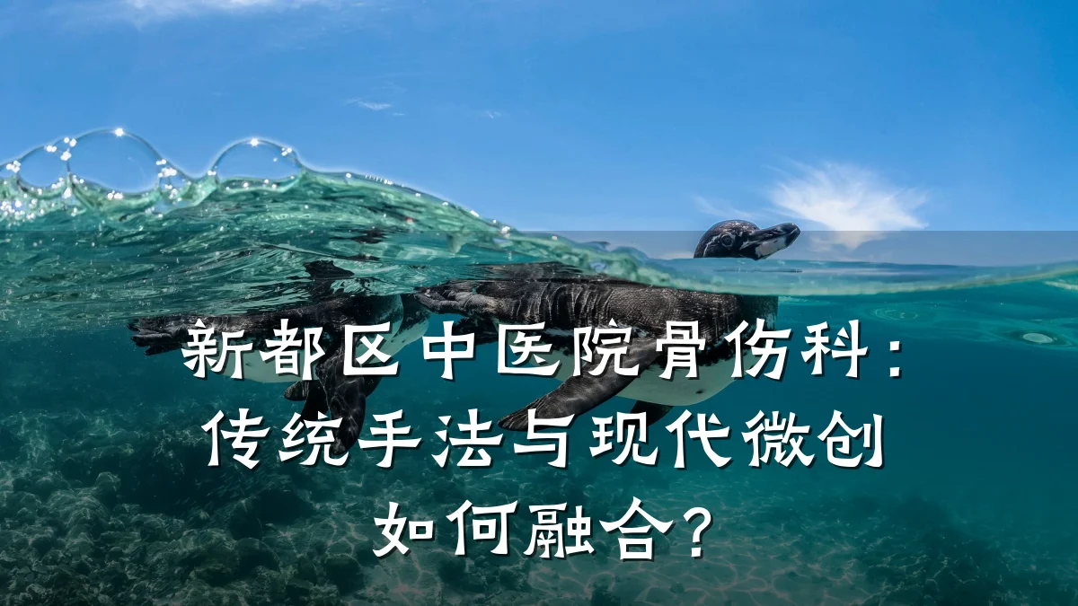 新都区中医院骨伤科:传统手法与现代微创如何融合?