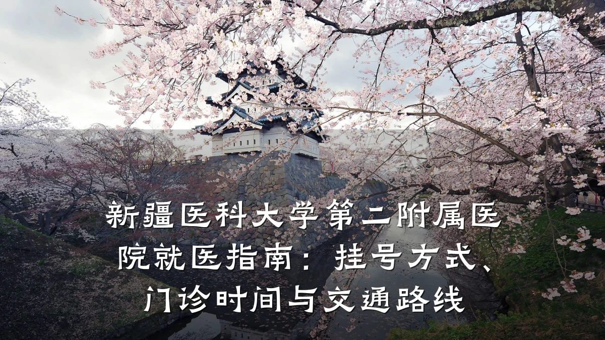 新疆医科大学第二附属医院就医指南:挂号方式、门诊时间与交通路线