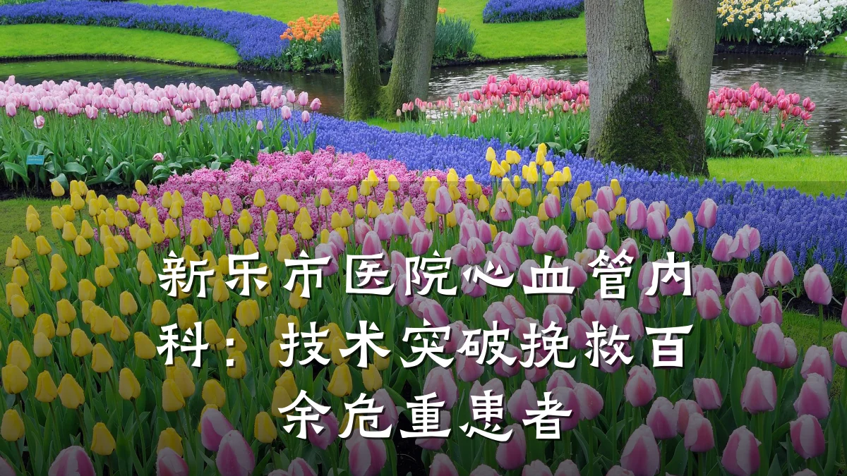 新乐市医院心血管内科:技术突破挽救百余危重患者