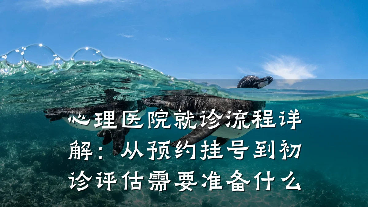 心理医院就诊流程详解:从预约挂号到初诊评估需要准备什么