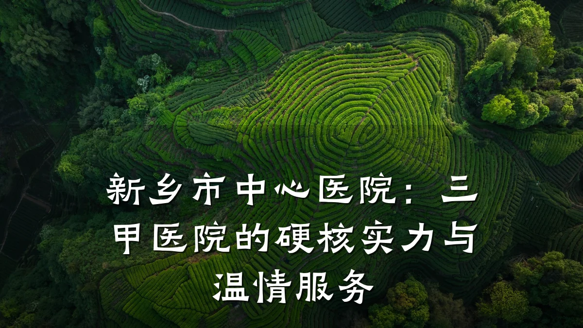 新乡市中心医院:三甲医院的硬核实力与温情服务