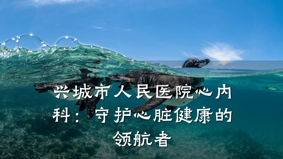 兴城市人民医院心内科:守护心脏健康的领航者
