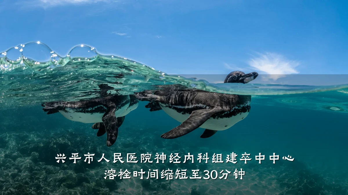 兴平市人民医院神经内科组建卒中中心 溶栓时间缩短至30分钟
