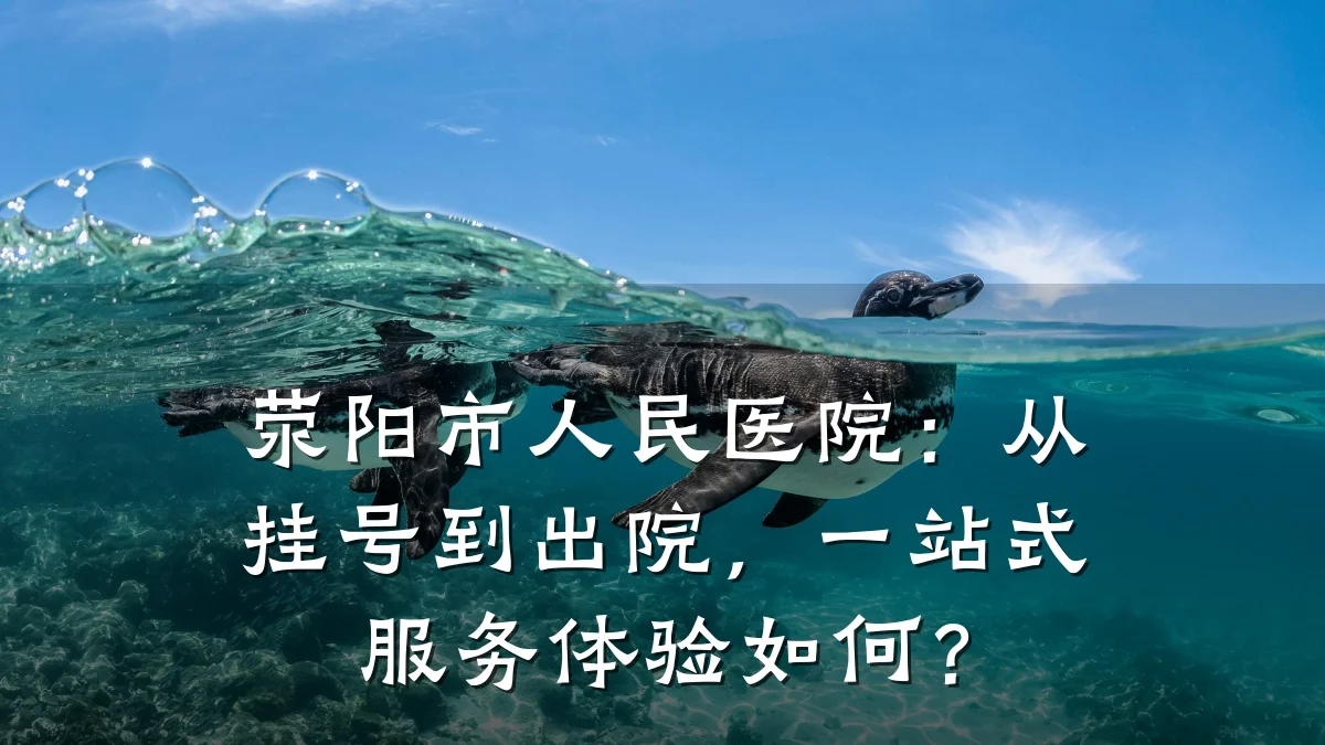 荥阳市人民医院:从挂号到出院,一站式服务体验如何?