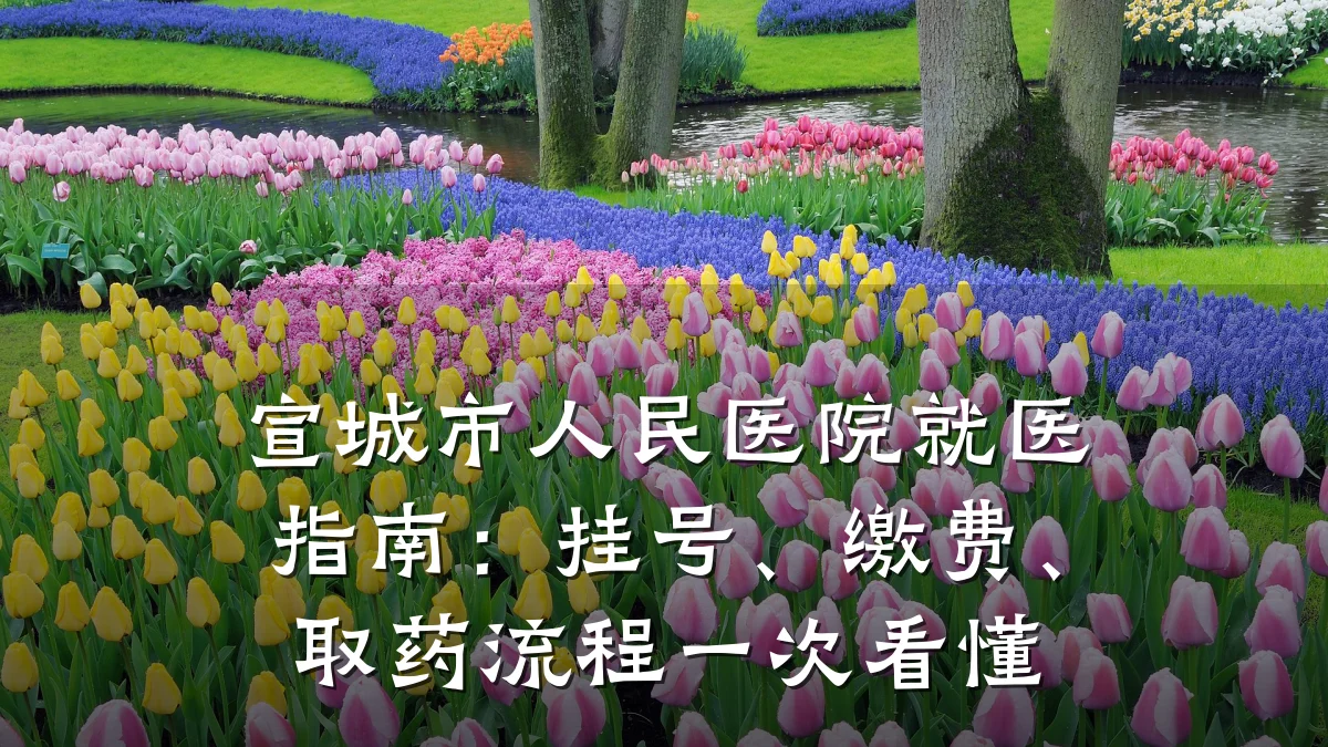 宣城市人民医院就医指南:挂号、缴费、取药流程一次看懂
