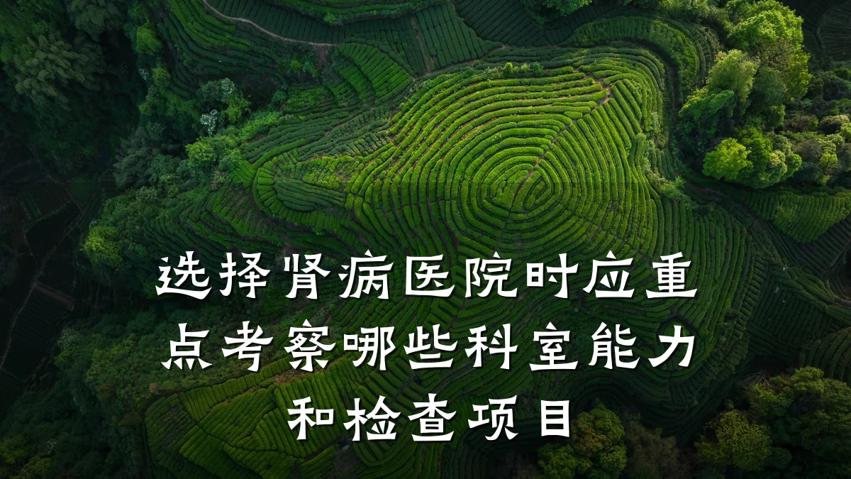 选择肾病医院时应重点考察哪些科室能力和检查项目