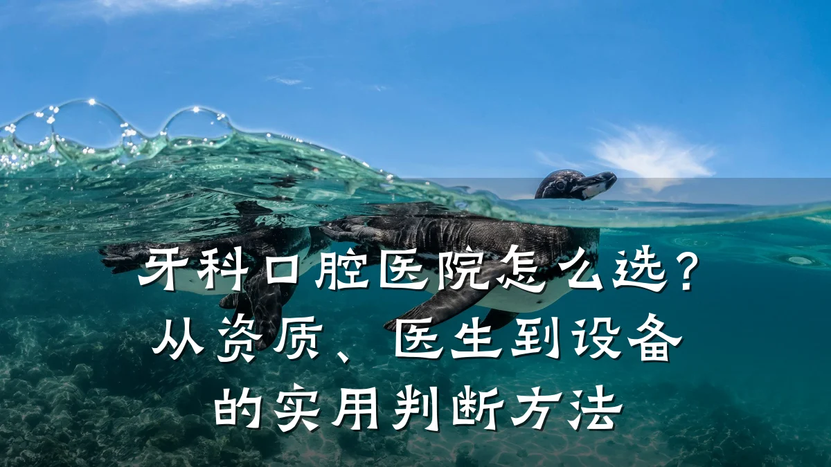 牙科口腔医院怎么选?从资质、医生到设备的实用判断方法