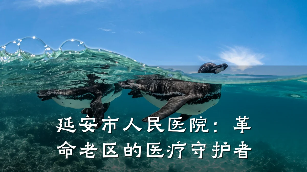 延安市人民医院:革命老区的医疗守护者