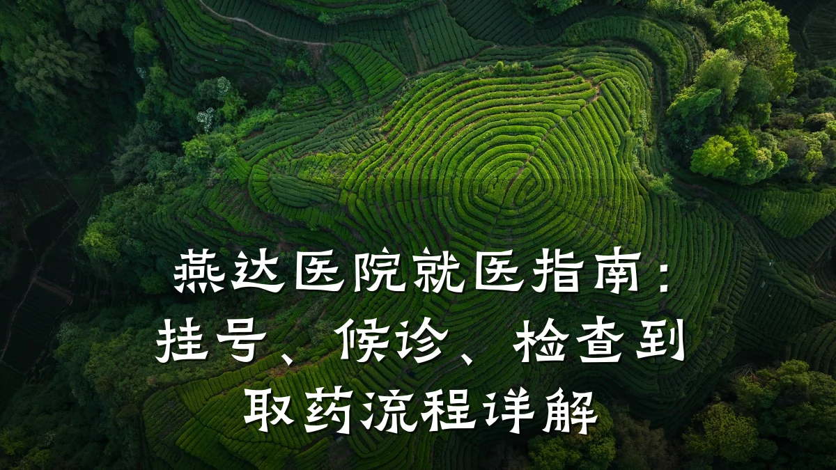 燕达医院就医指南：挂号、候诊、检查到取药流程详解