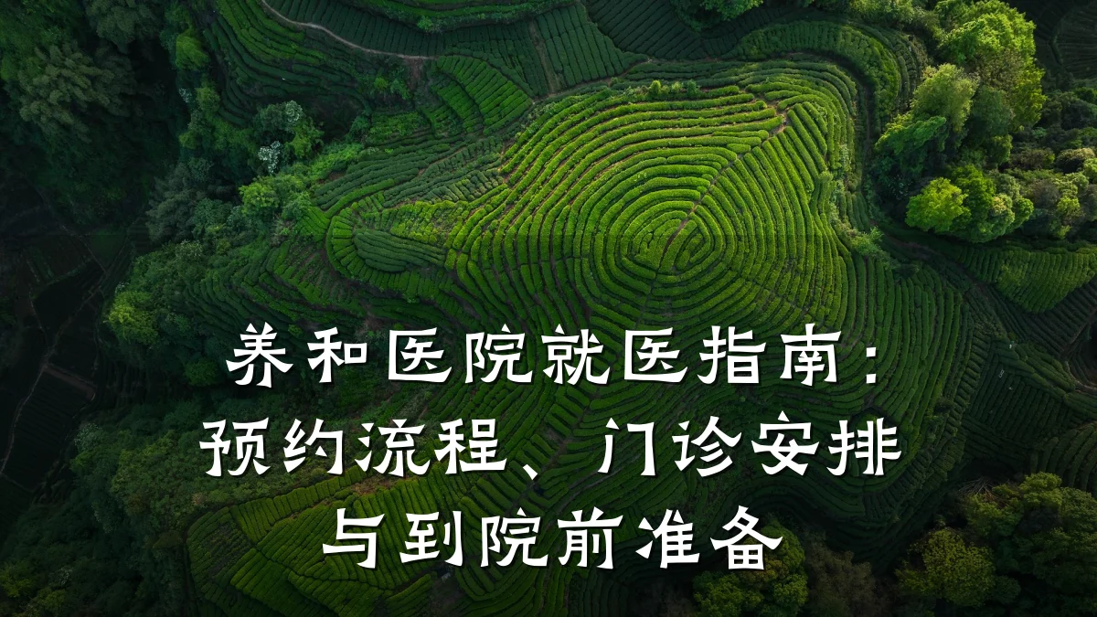 养和医院就医指南:预约流程、门诊安排与到院前准备
