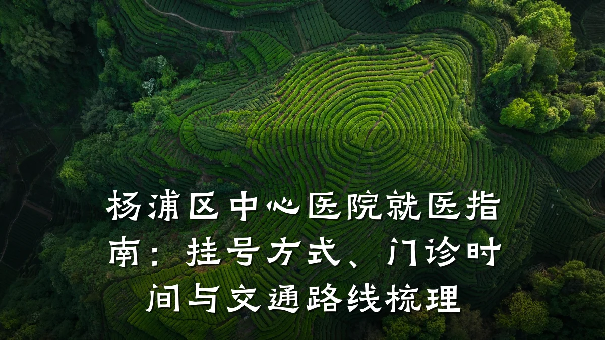 杨浦区中心医院就医指南:挂号方式、门诊时间与交通路线梳理