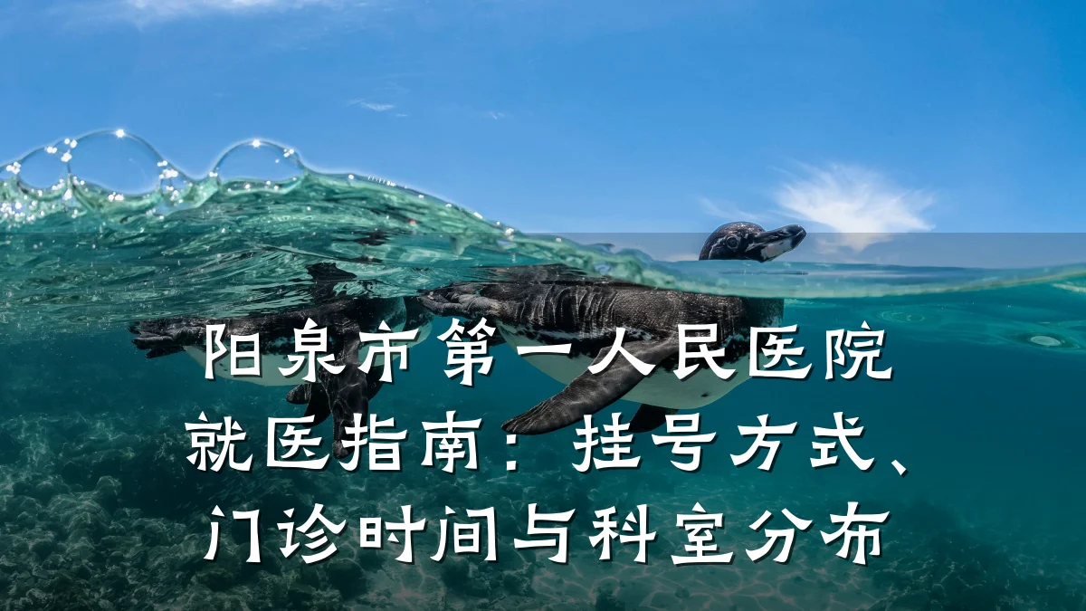 阳泉市第一人民医院就医指南:挂号方式、门诊时间与科室分布