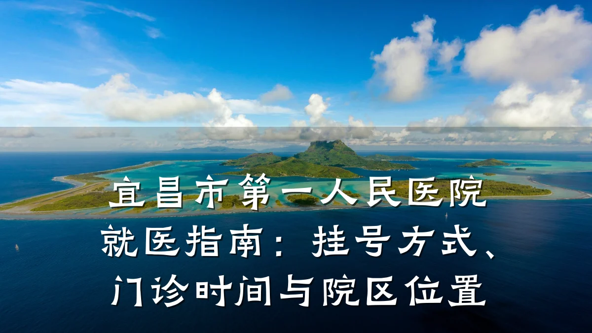 宜昌市第一人民医院就医指南:挂号方式、门诊时间与院区位置