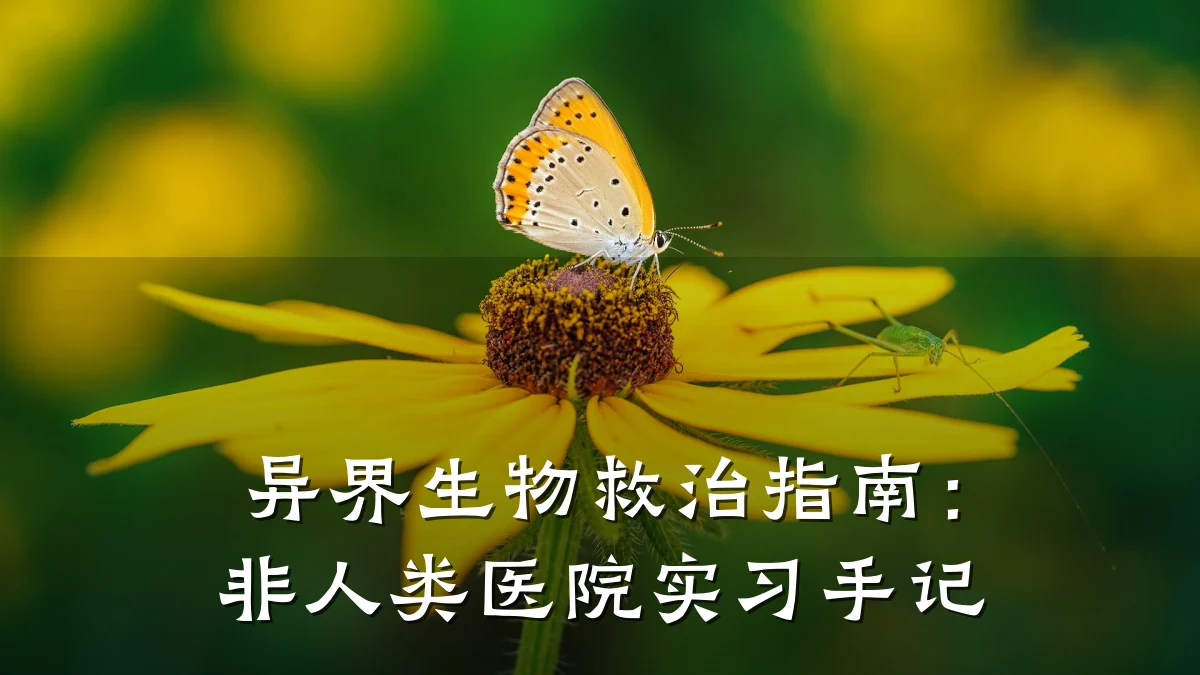 异界生物救治指南:非人类医院实习手记