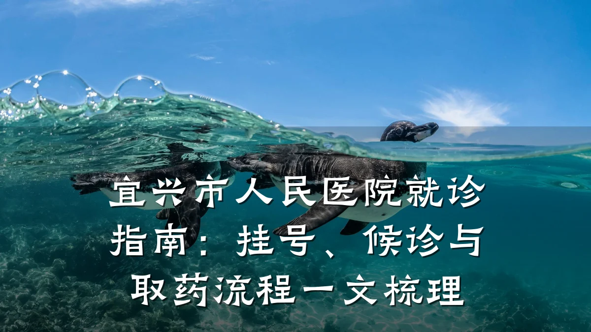 宜兴市人民医院就诊指南:挂号、候诊与取药流程一文梳理