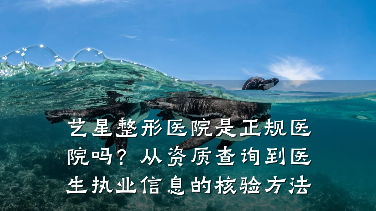 艺星整形医院是正规医院吗?从资质查询到医生执业信息的核验方法