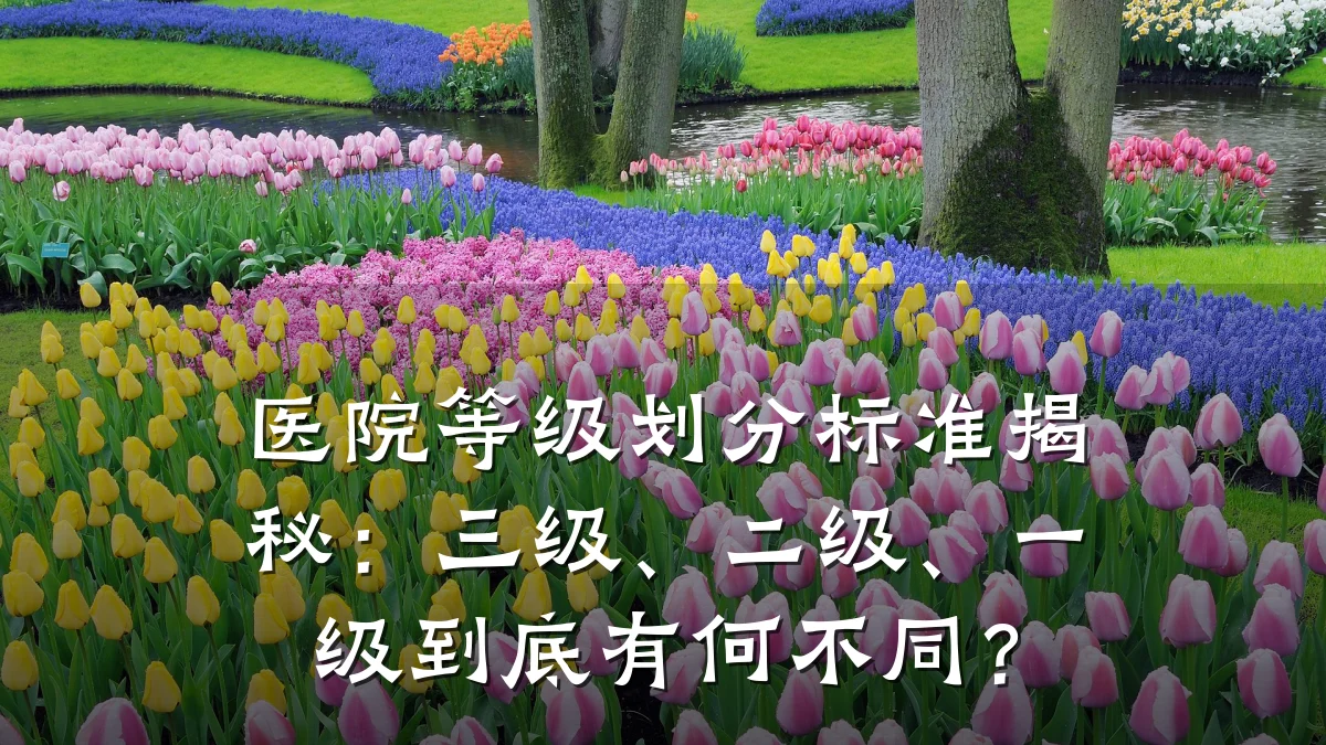 医院等级划分标准揭秘:三级、二级、一级到底有何不同?