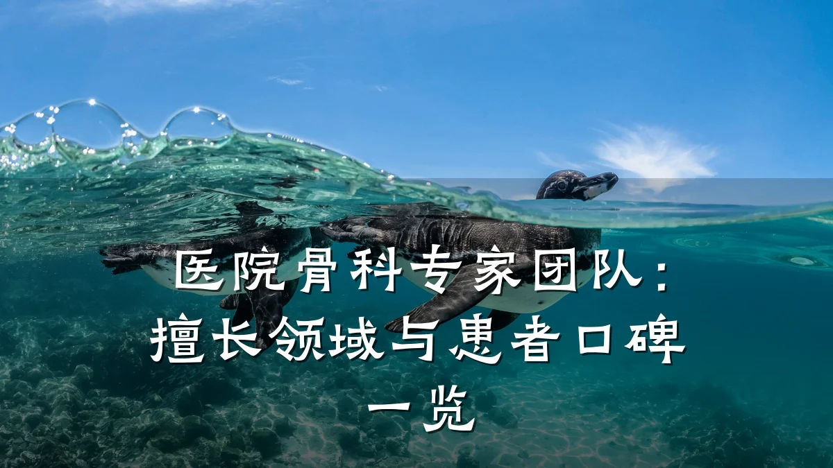 医院骨科专家团队:擅长领域与患者口碑一览