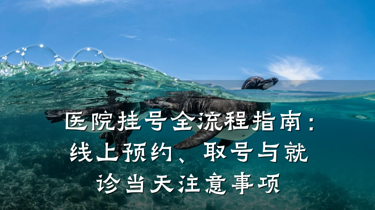 医院挂号全流程指南:线上预约、取号与就诊当天注意事项