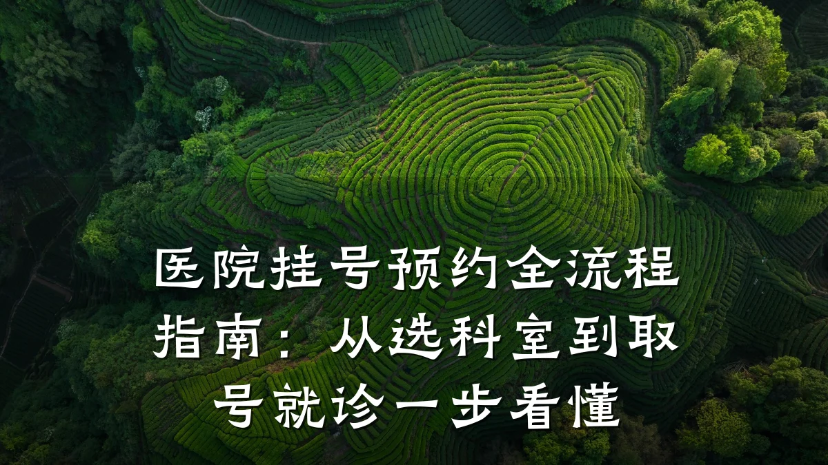 医院挂号预约全流程指南:从选科室到取号就诊一步看懂