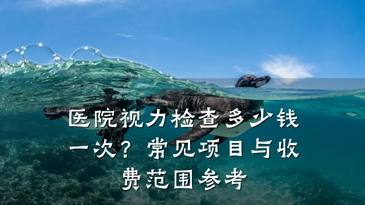 医院视力检查多少钱一次？常见项目与收费范围参考