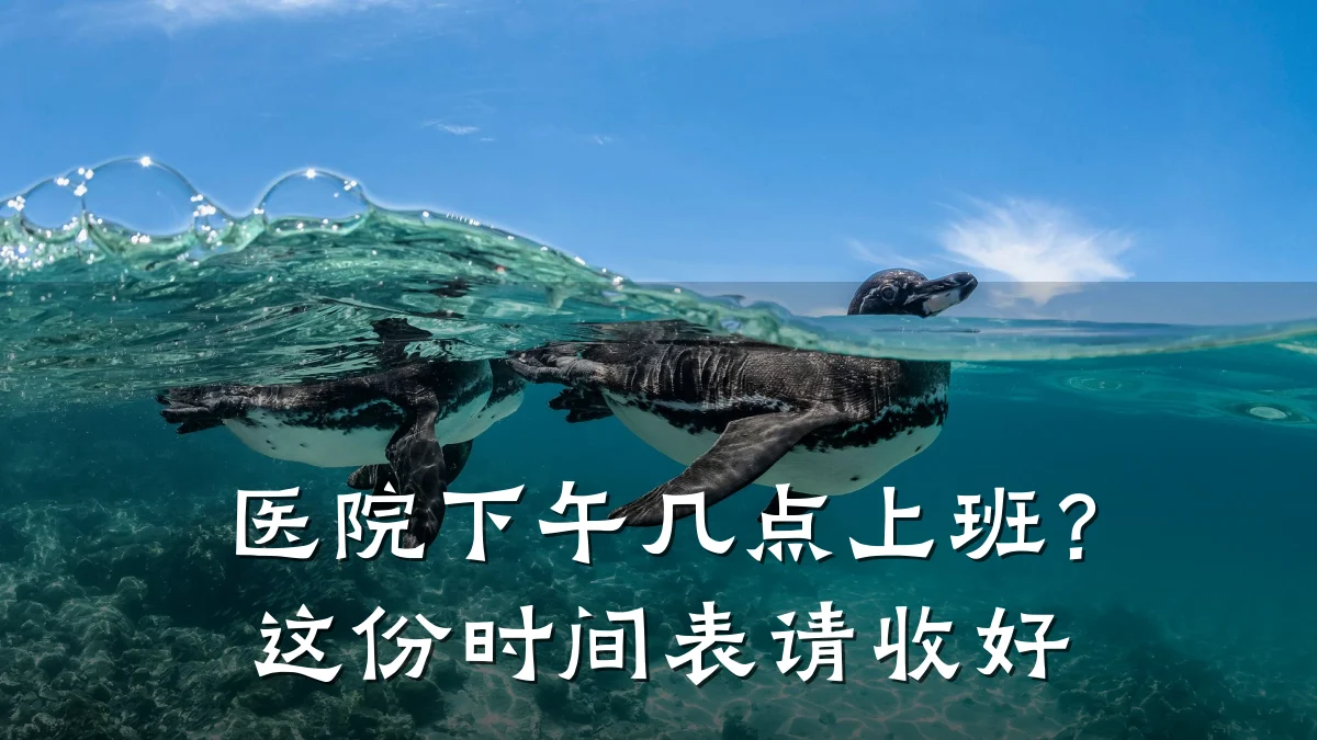 医院下午几点上班?这份时间表请收好