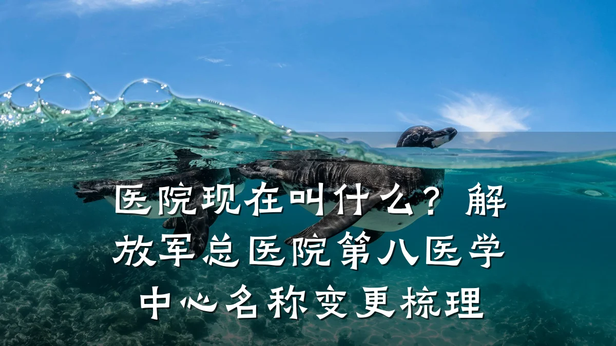 医院现在叫什么?解放军总医院第八医学中心名称变更梳理