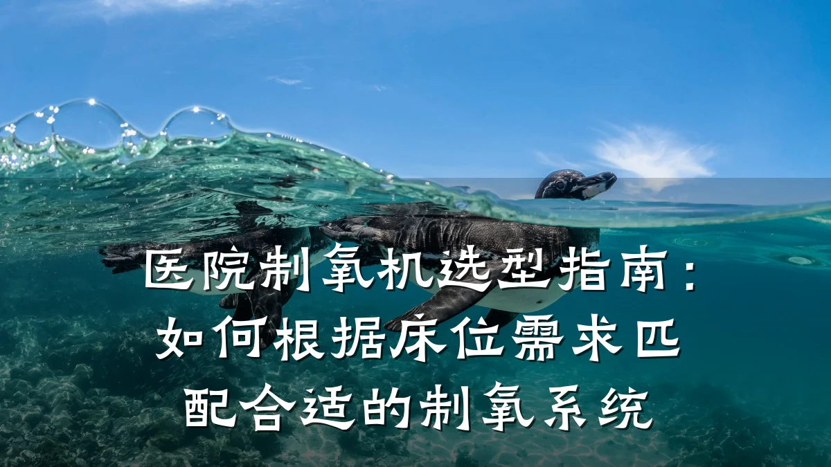 医院制氧机选型指南:如何根据床位需求匹配合适的制氧系统