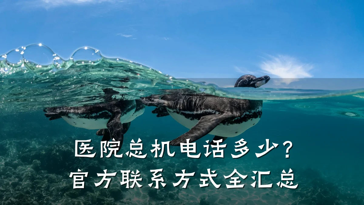 医院总机电话多少?官方联系方式全汇总