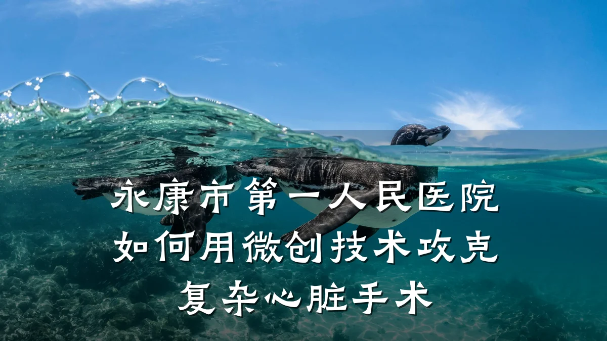 永康市第一人民医院如何用微创技术攻克复杂心脏手术