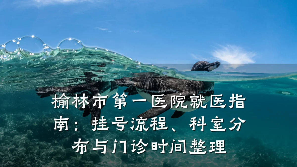 榆林市第一医院就医指南:挂号流程、科室分布与门诊时间整理